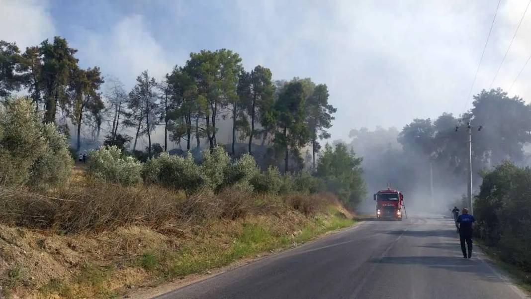 Manavgat’ta Korkutan Yangın Kontrol Altına Alındı! 5